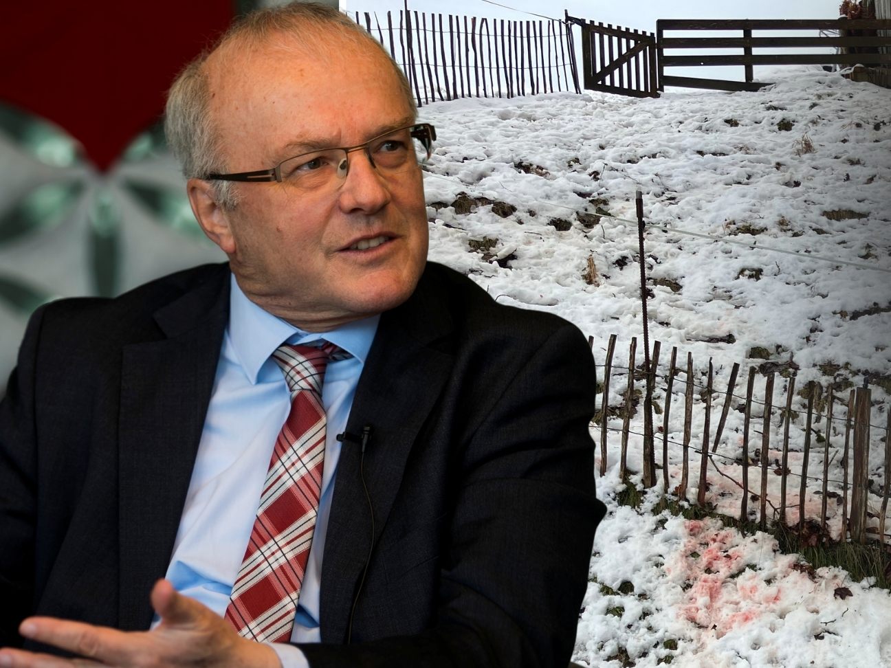 Nach der grausamen Attacke auf drei Zwergschafe in Riefensberg äußert sich Reinhard Haller allgemein zur Psyche von Tierquälern.