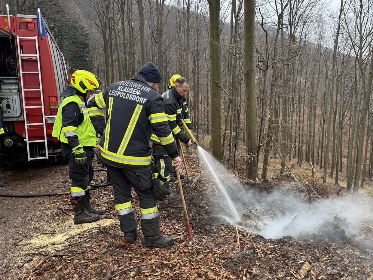 Feuerwehreinsatz im Bezirk Baden.