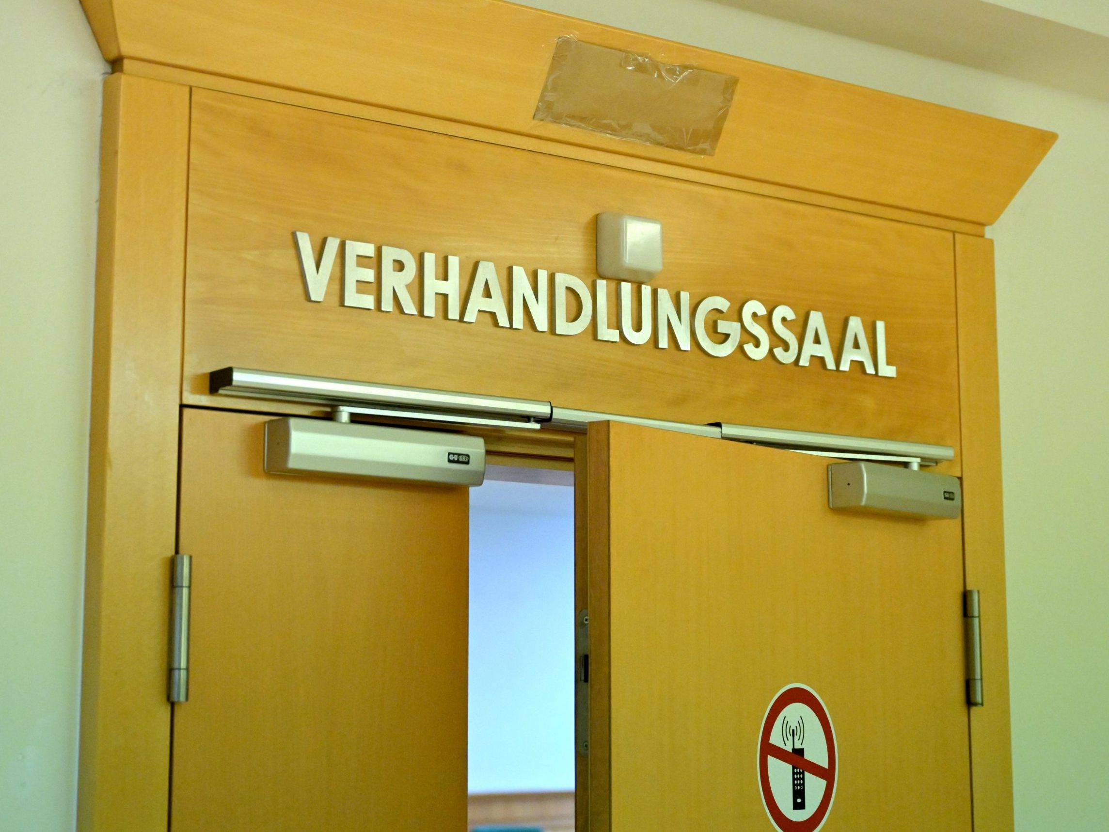 Straches Ex-Büroleiterin steht am kommenden Freitag in Wien vor Gericht. Straches Ex-Büroleiterin steht am kommenden Freitag in Wien vor Gericht.