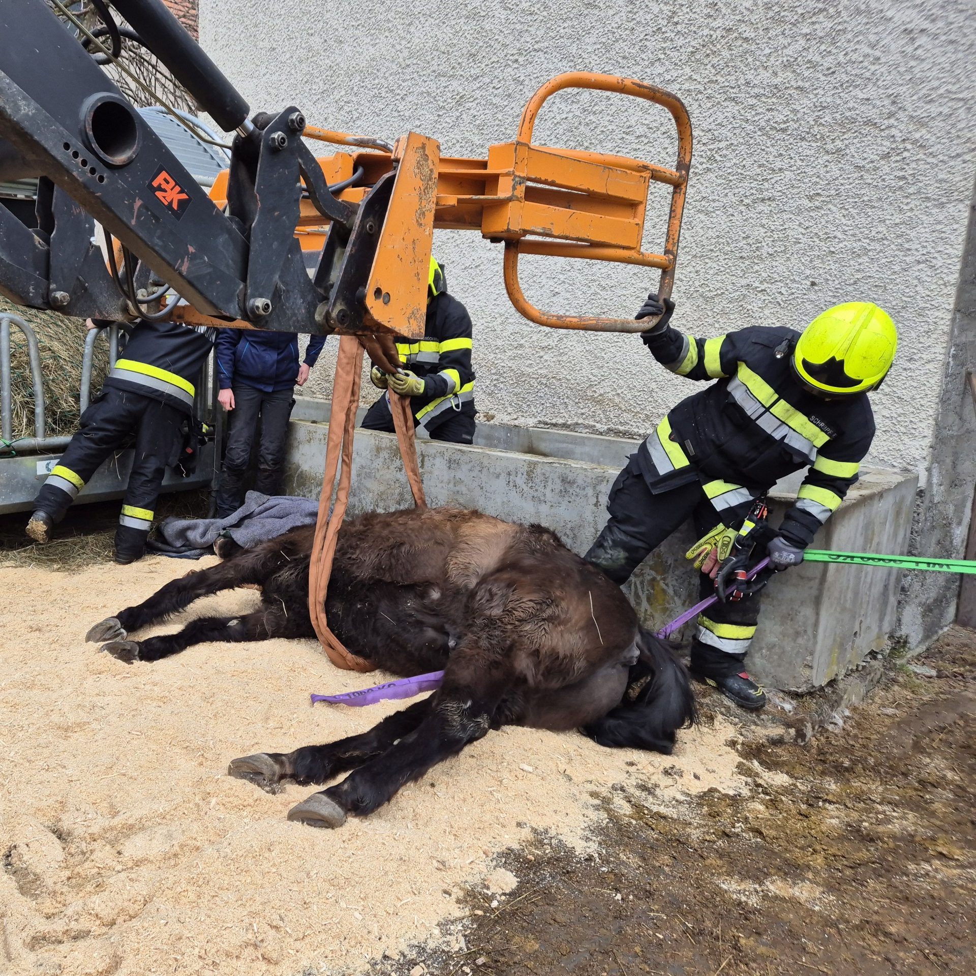 Die Feuerwehr barg das verletzte Pferd, das zuvor sediert werden musste.