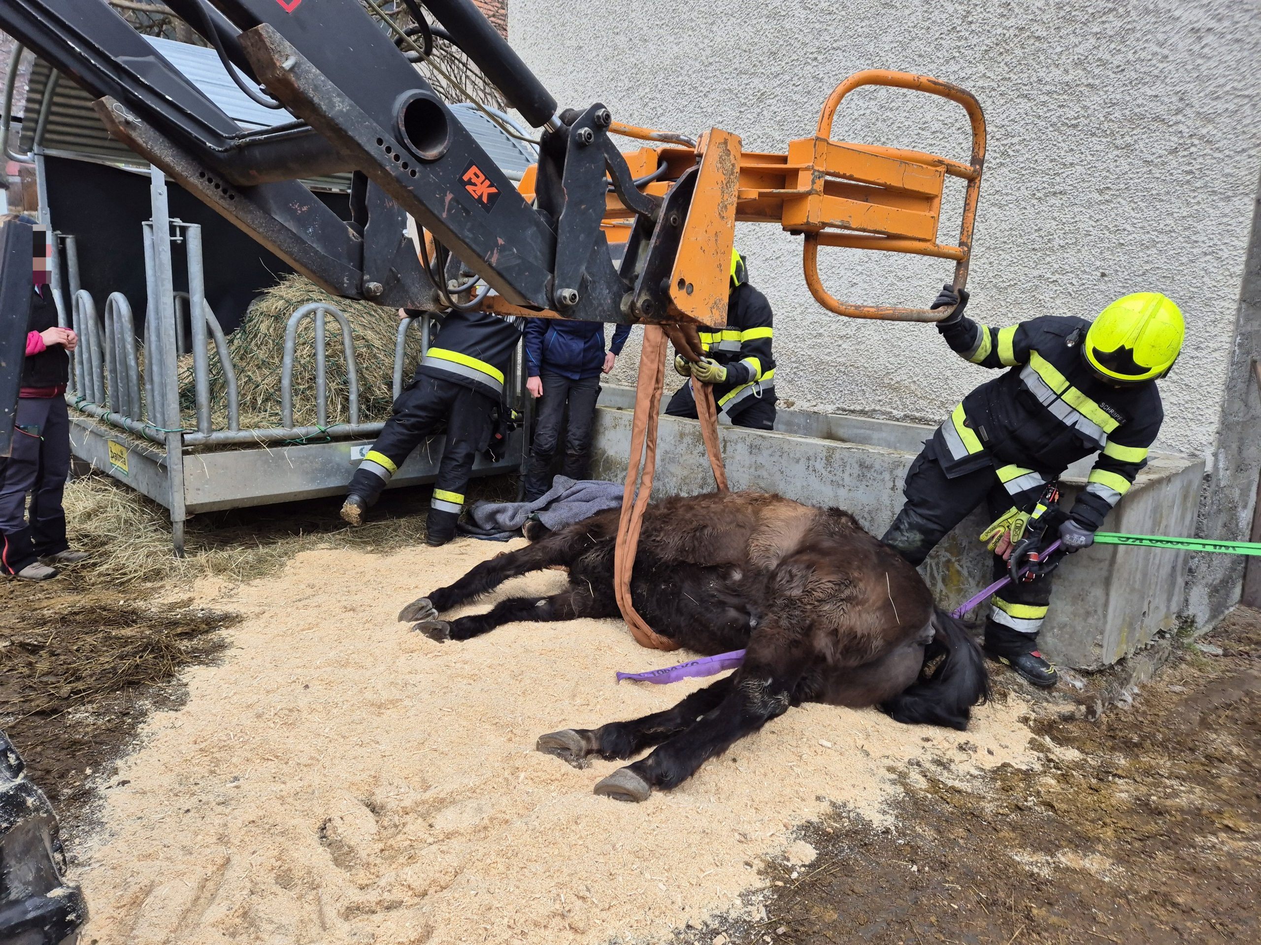 Die Feuerwehr barg das verletzte Pferd, das zuvor sediert werden musste.