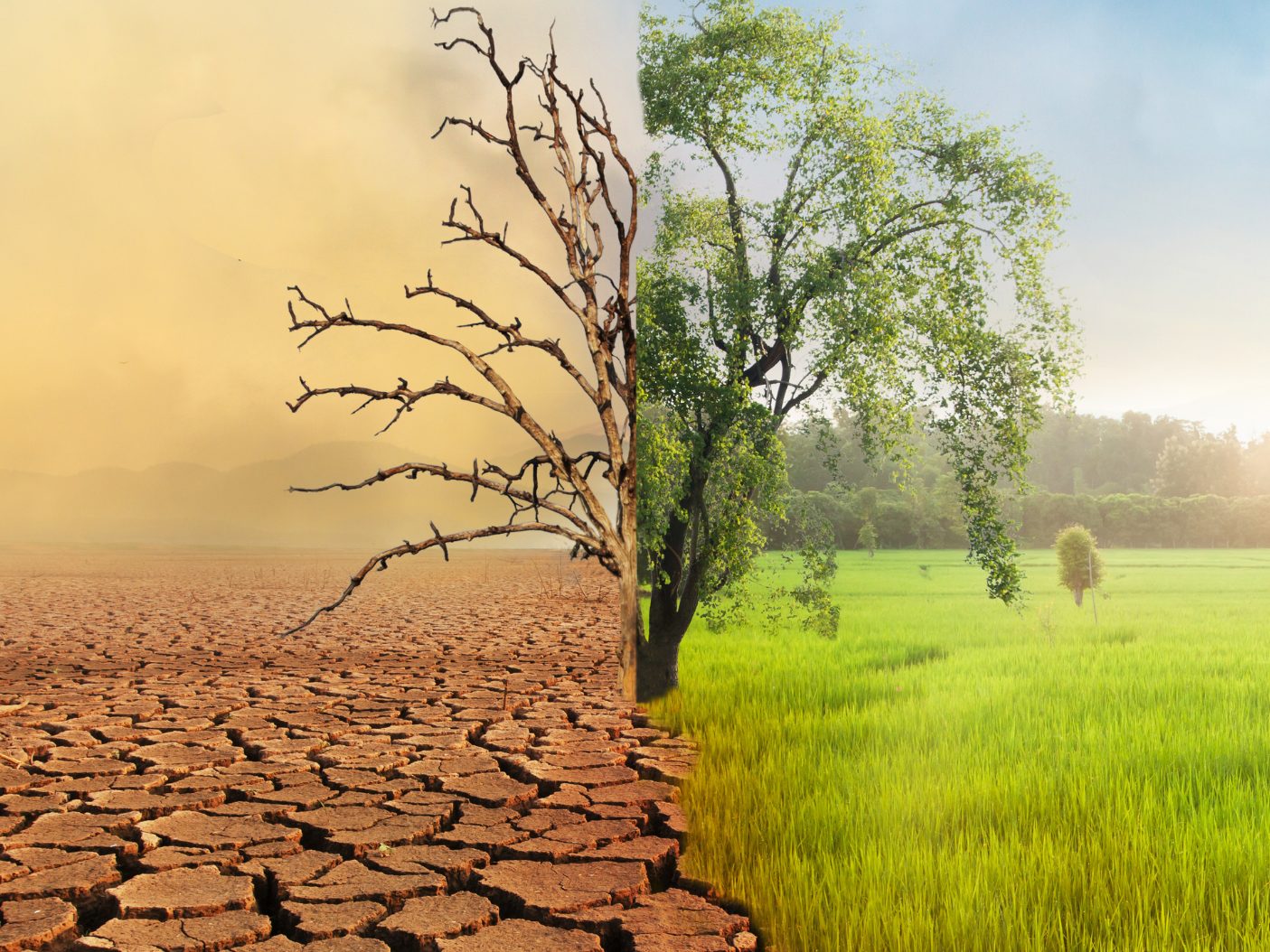 Das Vorjahr mit über 1,5 Grad globaler Erwärmung bleibt kein Einzelfall. Das Vorjahr mit über 1,5 Grad globaler Erwärmung bleibt kein Einzelfall.
