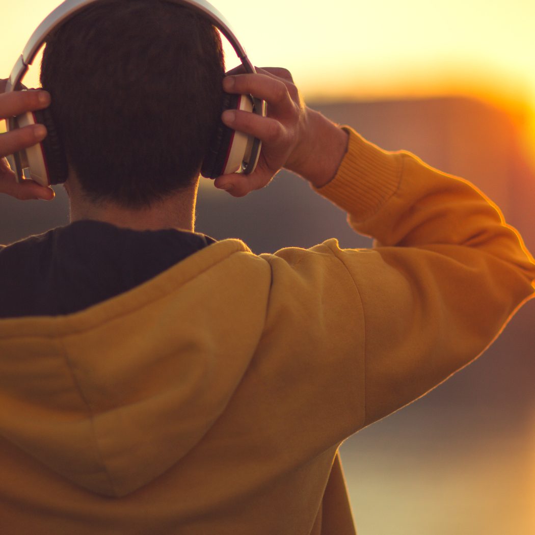 Der heimische Musikmarkt wächst weiter.