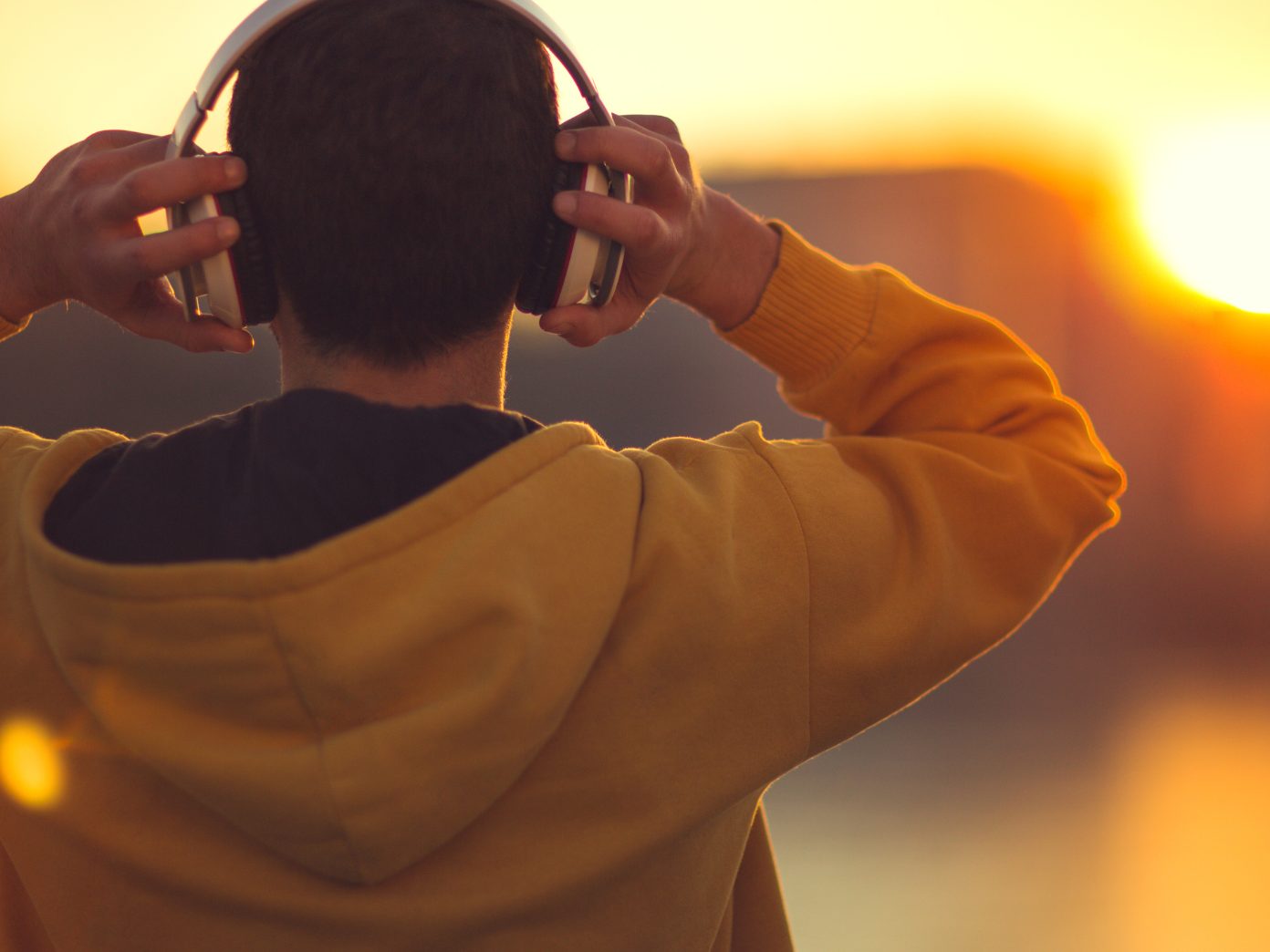 Der heimische Musikmarkt wächst weiter.