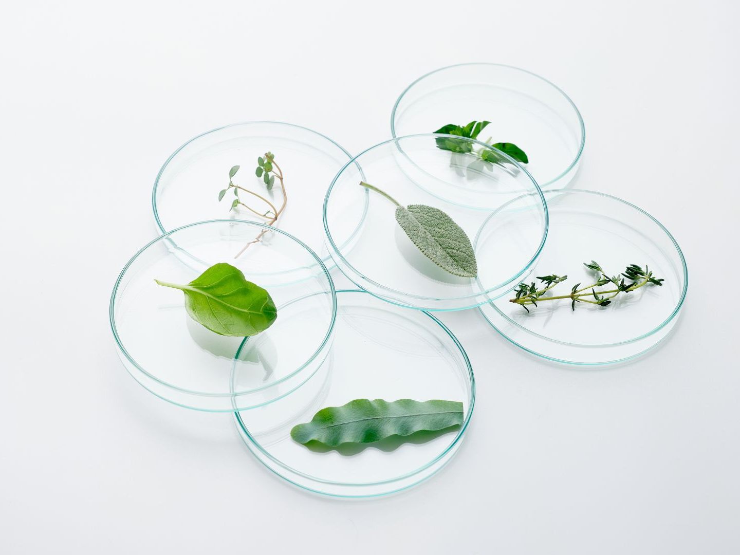 Biodiversitätsforschende sorgen sich um eine künftige sachliche Umweltpolitik. Biodiversitätsforschende sorgen sich um eine künftige sachliche Umweltpolitik.