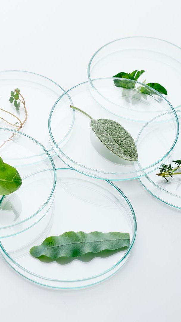 Biodiversitätsforschende sorgen sich um eine künftige sachliche Umweltpolitik.