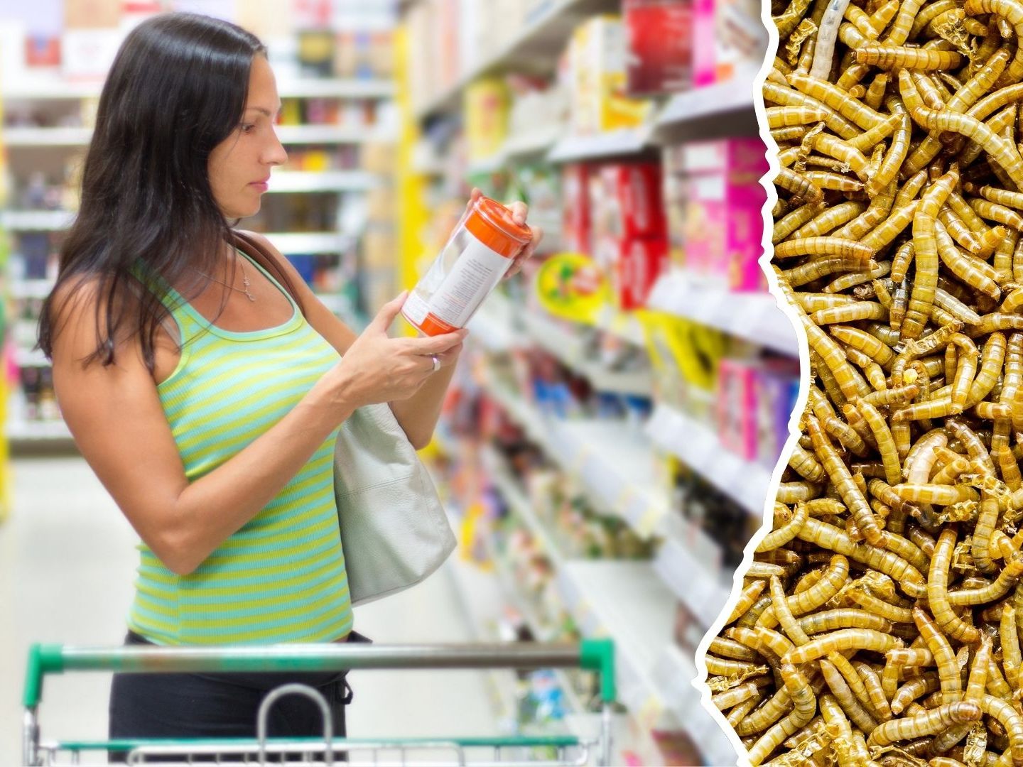 Mehlwürmer und andere Insekten sind in der EU bereits seit 2021 als Lebensmittel zugelassen. Mehlwürmer und andere Insekten sind in der EU bereits seit 2021 als Lebensmittel zugelassen.