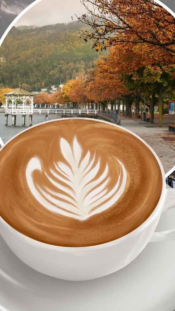 Die 10 beliebtesten Cafés im Bezirk Bregenz.