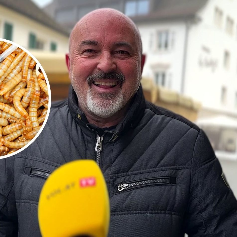 Was sagen Vorarlberger zu Mehlwurmpulver in Brot, Käse und Co.?