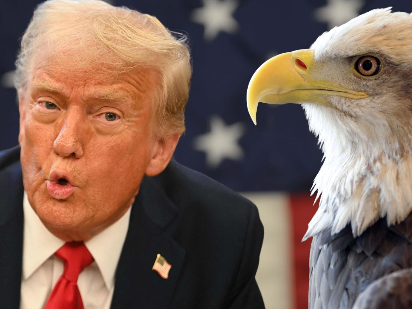 Trump und sein neuer Expansionismus