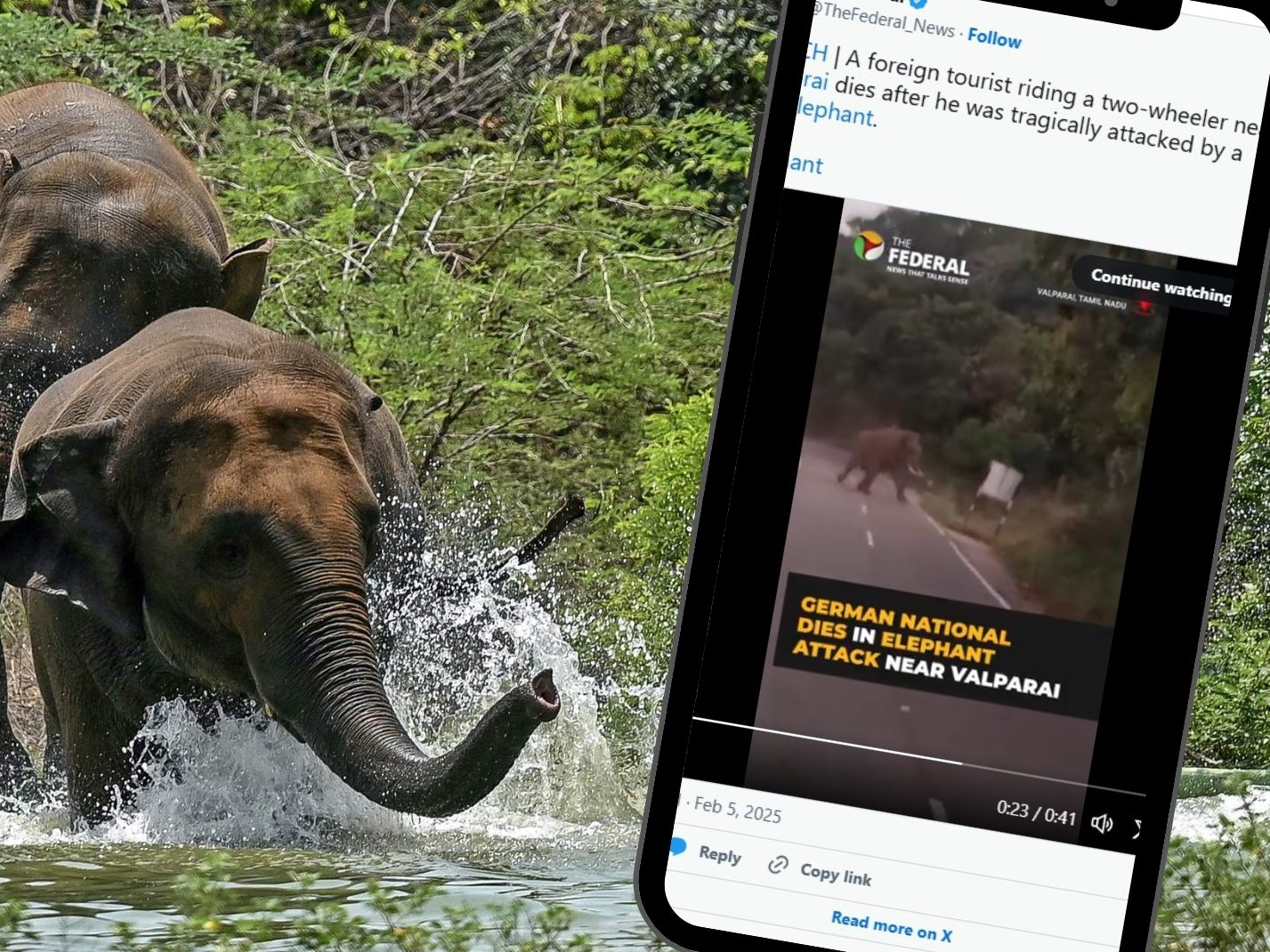 Elefanten-Angriff auf 77-jährigen Deutschen in Indien endete tödlich.