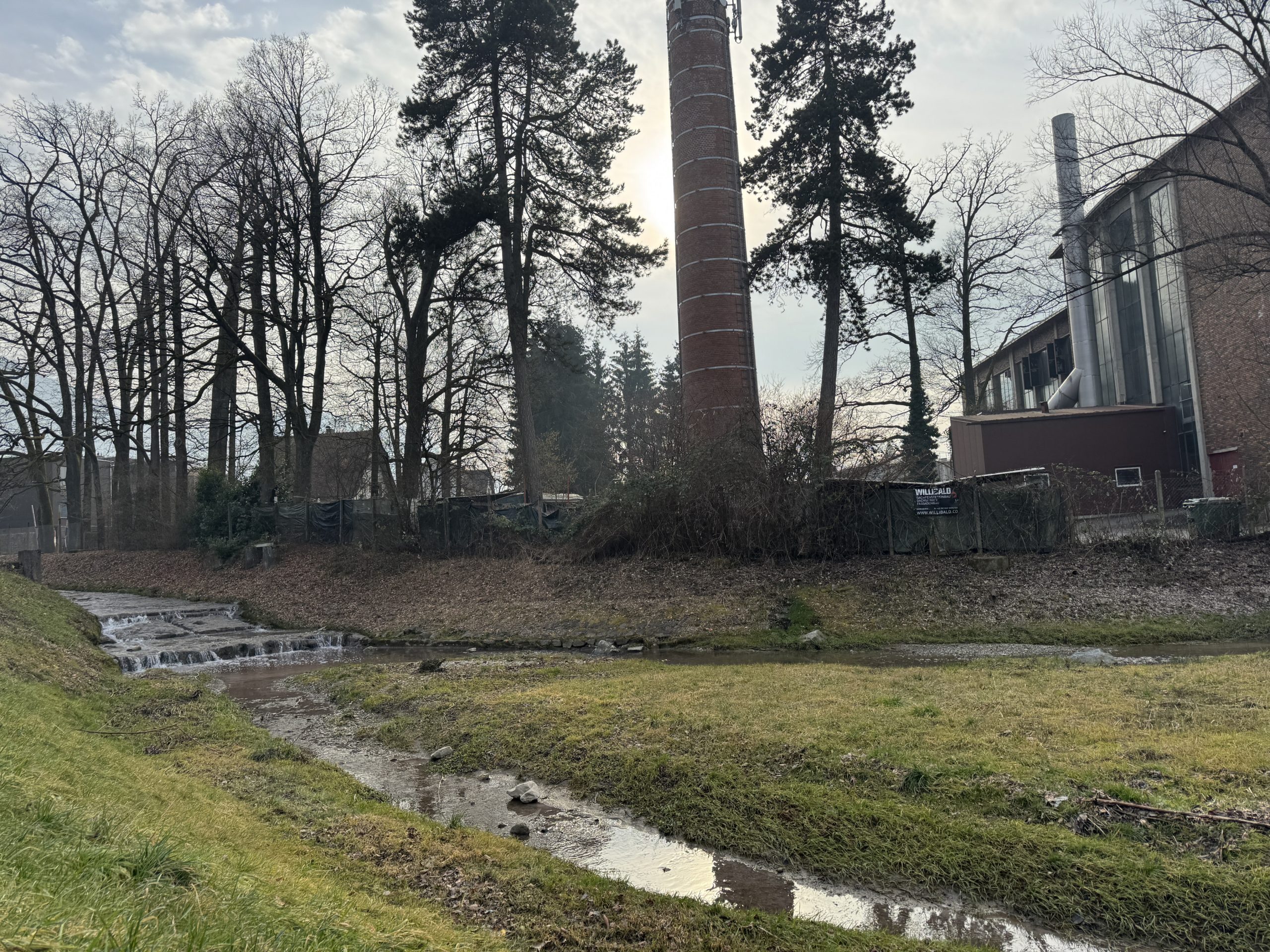 Verfärbter Fischbach