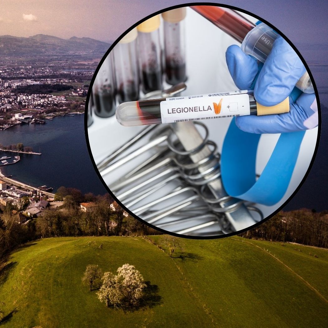 29 von 32 Fällen wurden im Unterland registriert.