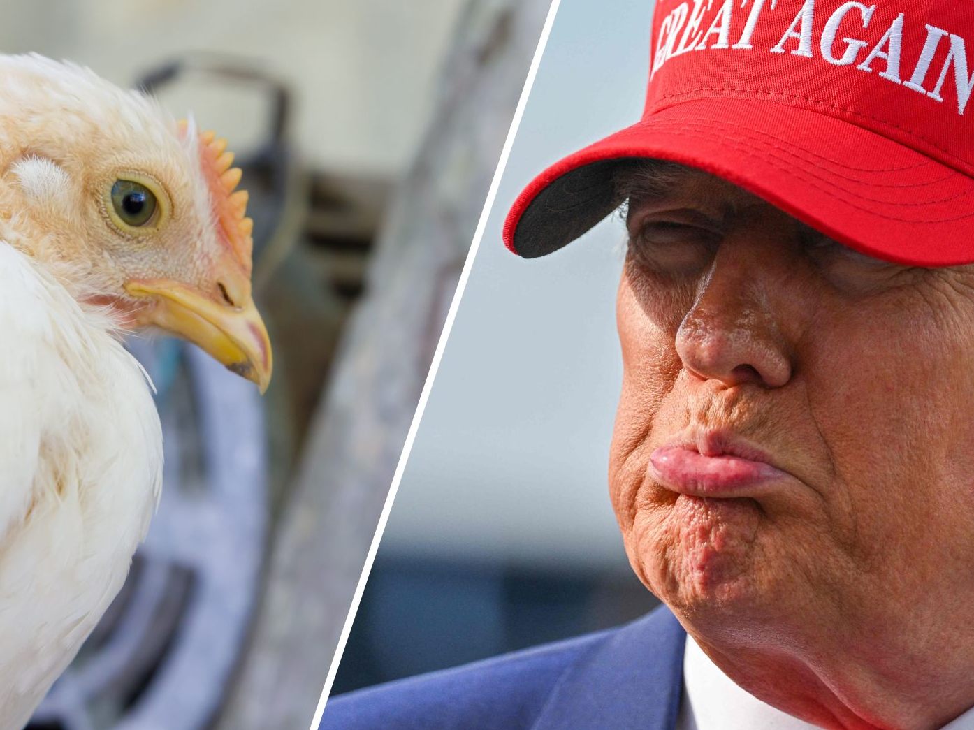 Trump will die Zahl der öffentlich Bediensteten drastisch reduzieren.