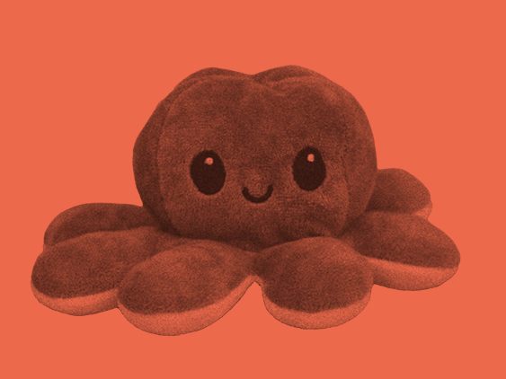 Beim Vortrag in der AK Vorarlberg gibt es alles Wichtige zu Mutterschutz, Karenz, Kinderbetreuungsgeld und vielem mehr.