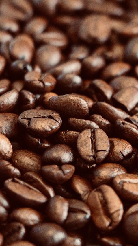 Die Großhandelspreise für Kaffee sind zu Jahresbeginn angestiegen.