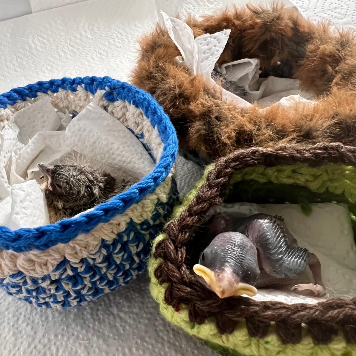 Wildtierbabys werden in den gehäkelten Nestchen vor Unterkühlung geschützt.