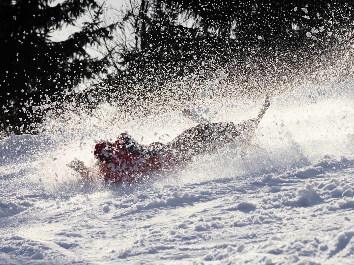 Zeugenaufruf Zeugenaufruf