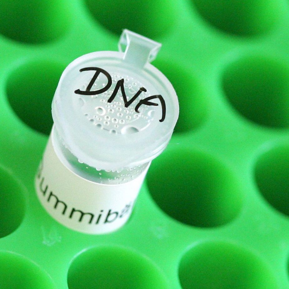 Die Medizinische Universität Innsbruck leitet das Projekt.