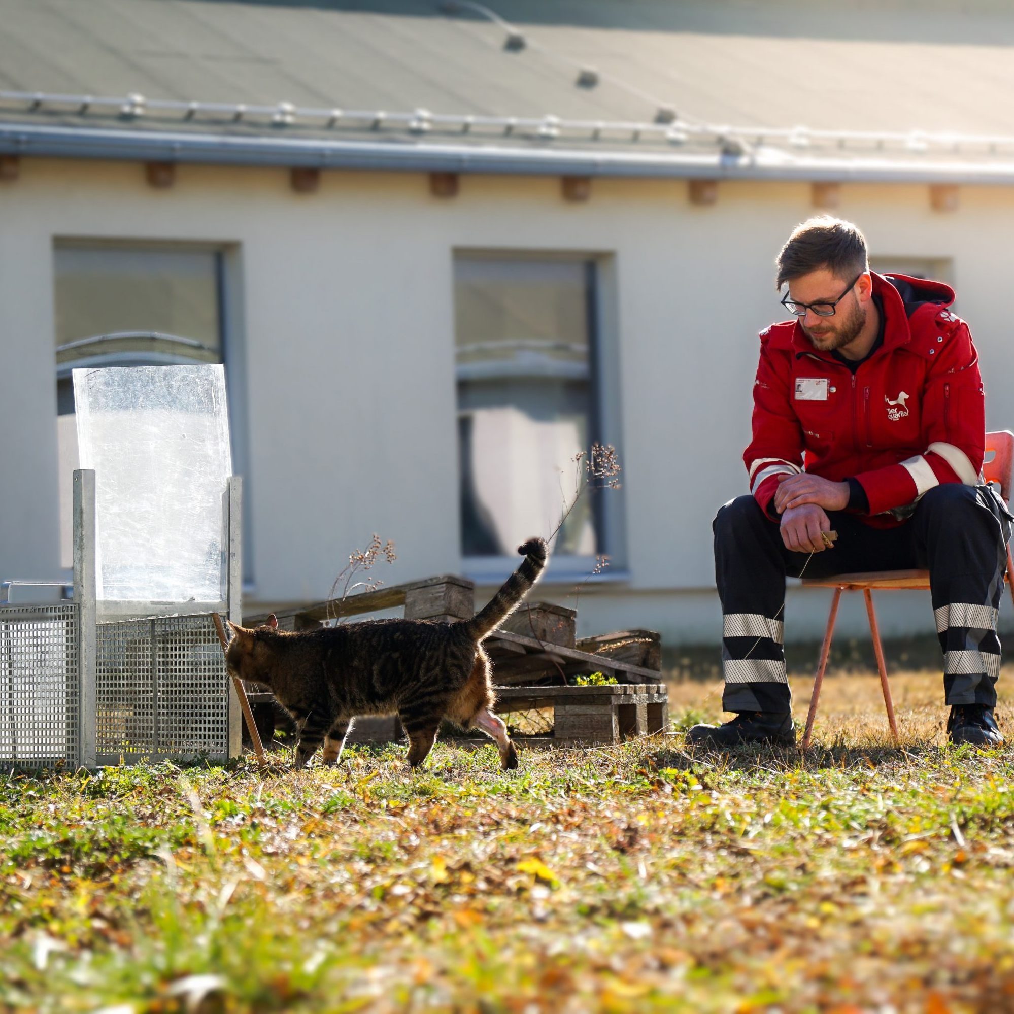 Das TierQuarTier Wien übernimmt offiziell das Streunerkatzenprojekt der Stadt Wien.