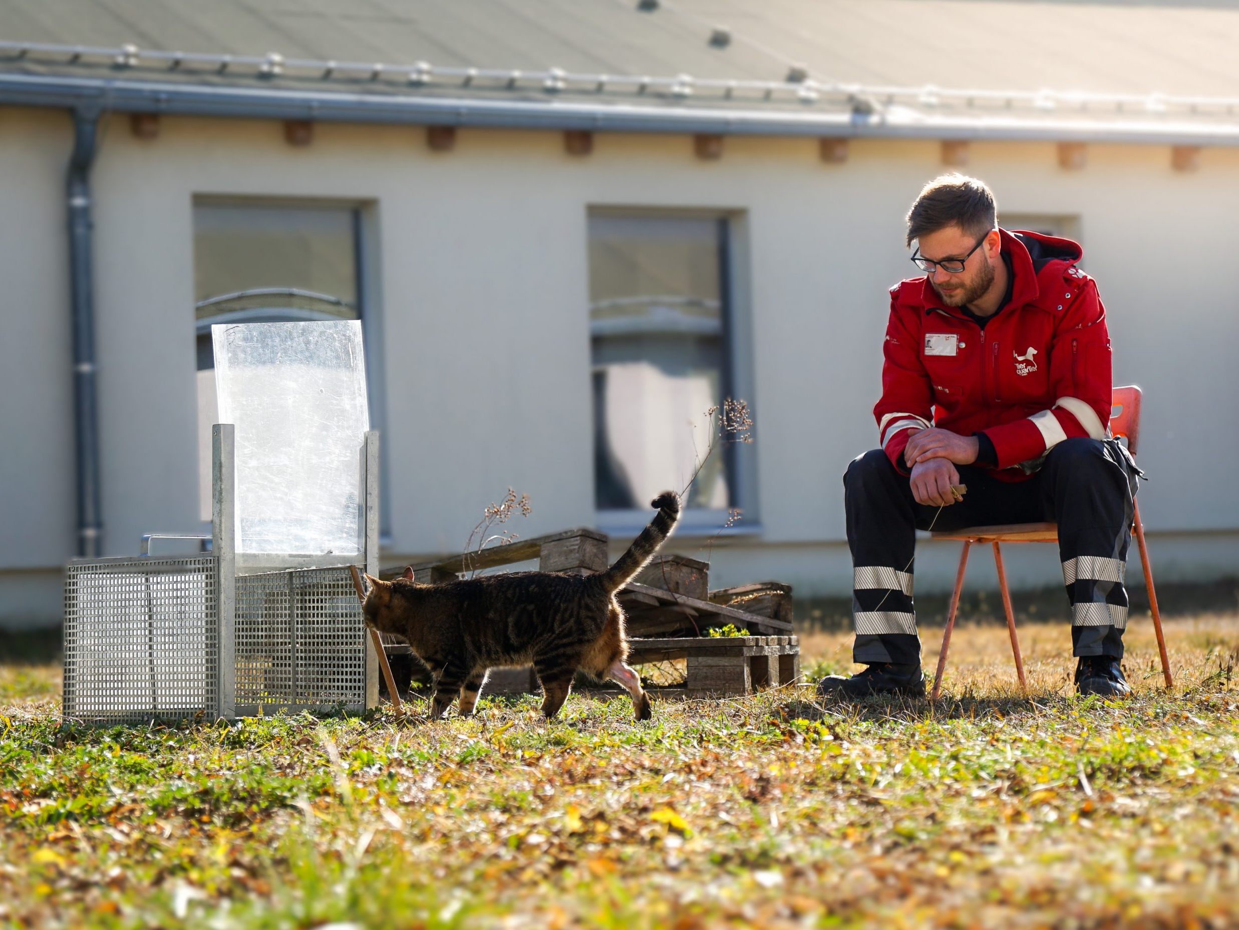 Das TierQuarTier Wien übernimmt offiziell das Streunerkatzenprojekt der Stadt Wien.