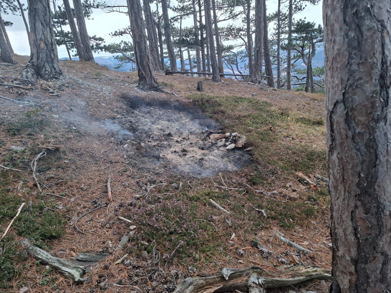 Die Feuerstelle befindet sich unweit der Örtlichkeit, an der es am 25. Oktober 2021 zu einem verheerenden Inferno kam.