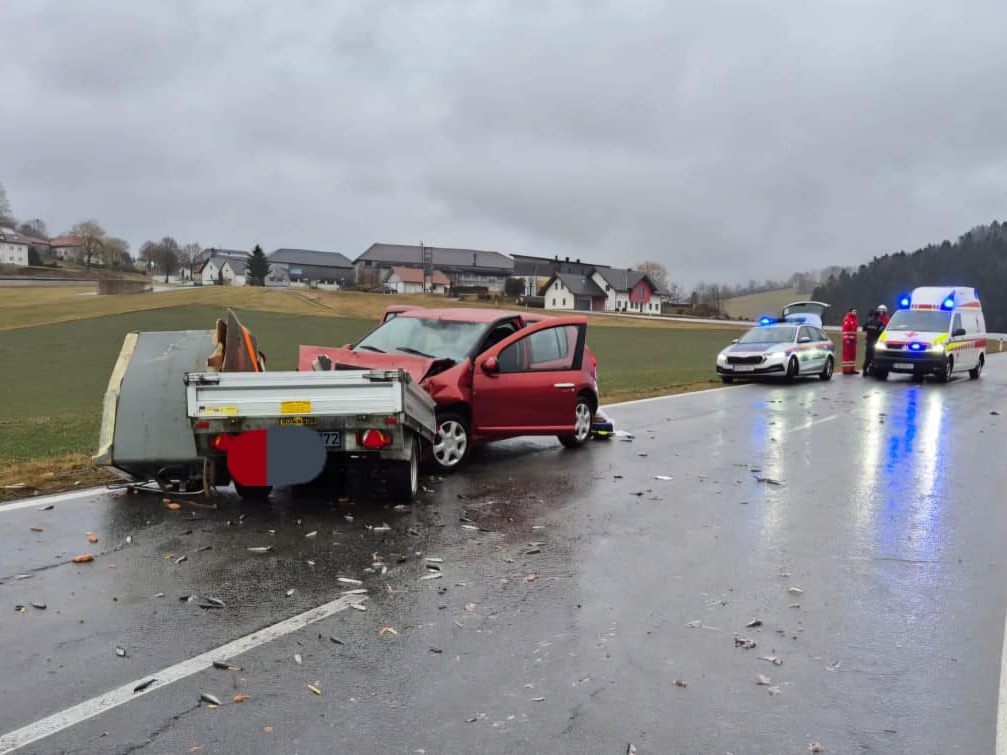 Die Fische landeten durch den Aufprall auf der Fahrbahn und verendeten.