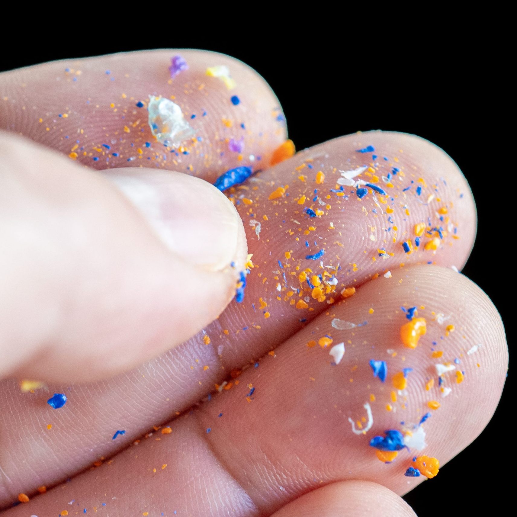 Forscher zeigen, wie sich die Mikroplastik-Aufnahme vermindern lässt.