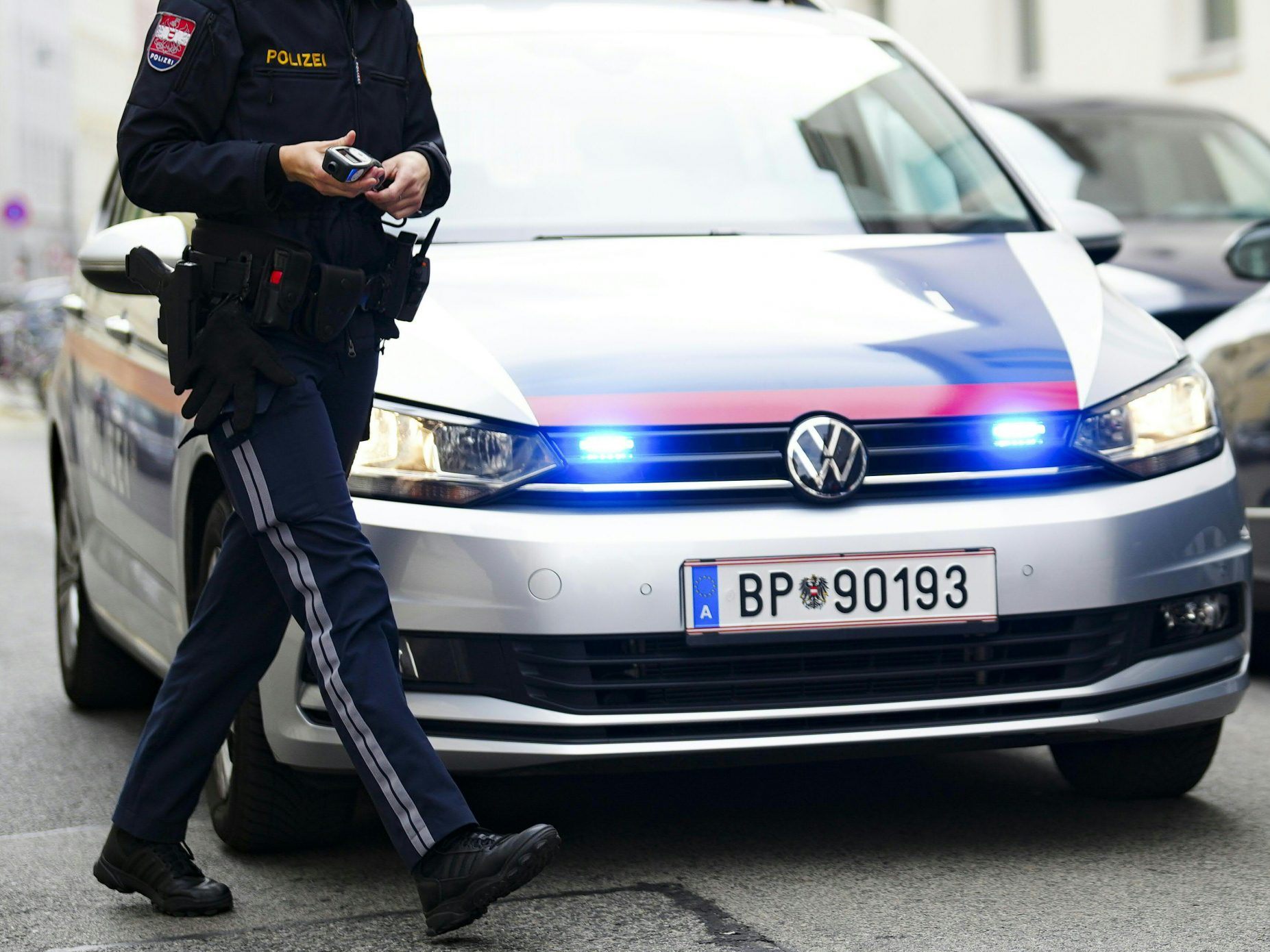 Die alarmierte Polizei schnappte die Einbrecher. Die alarmierte Polizei schnappte die Einbrecher.