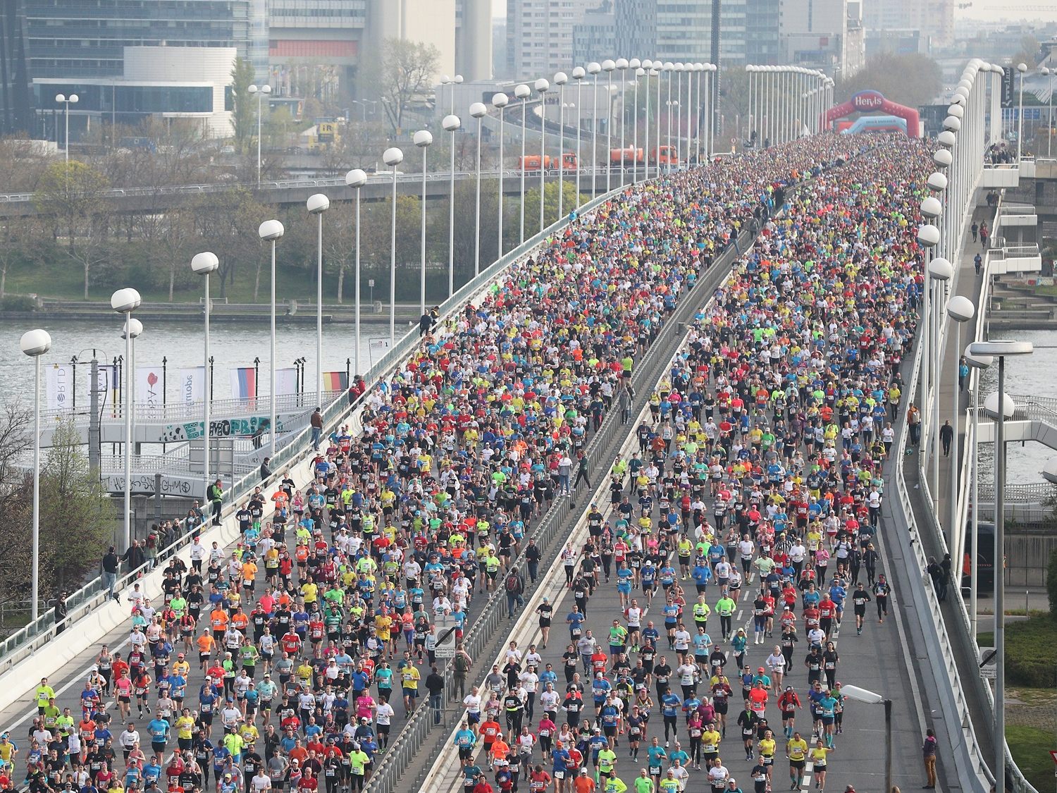 Wien-Marathon mit mehr Anmeldungen. Wien-Marathon mit mehr Anmeldungen.