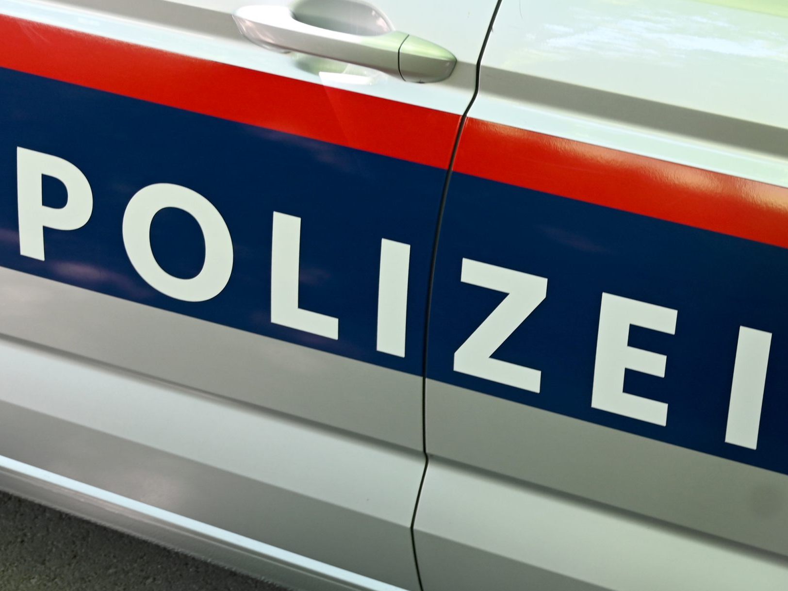 Die Wiener Polizei verhaftete die Verdächtigen.