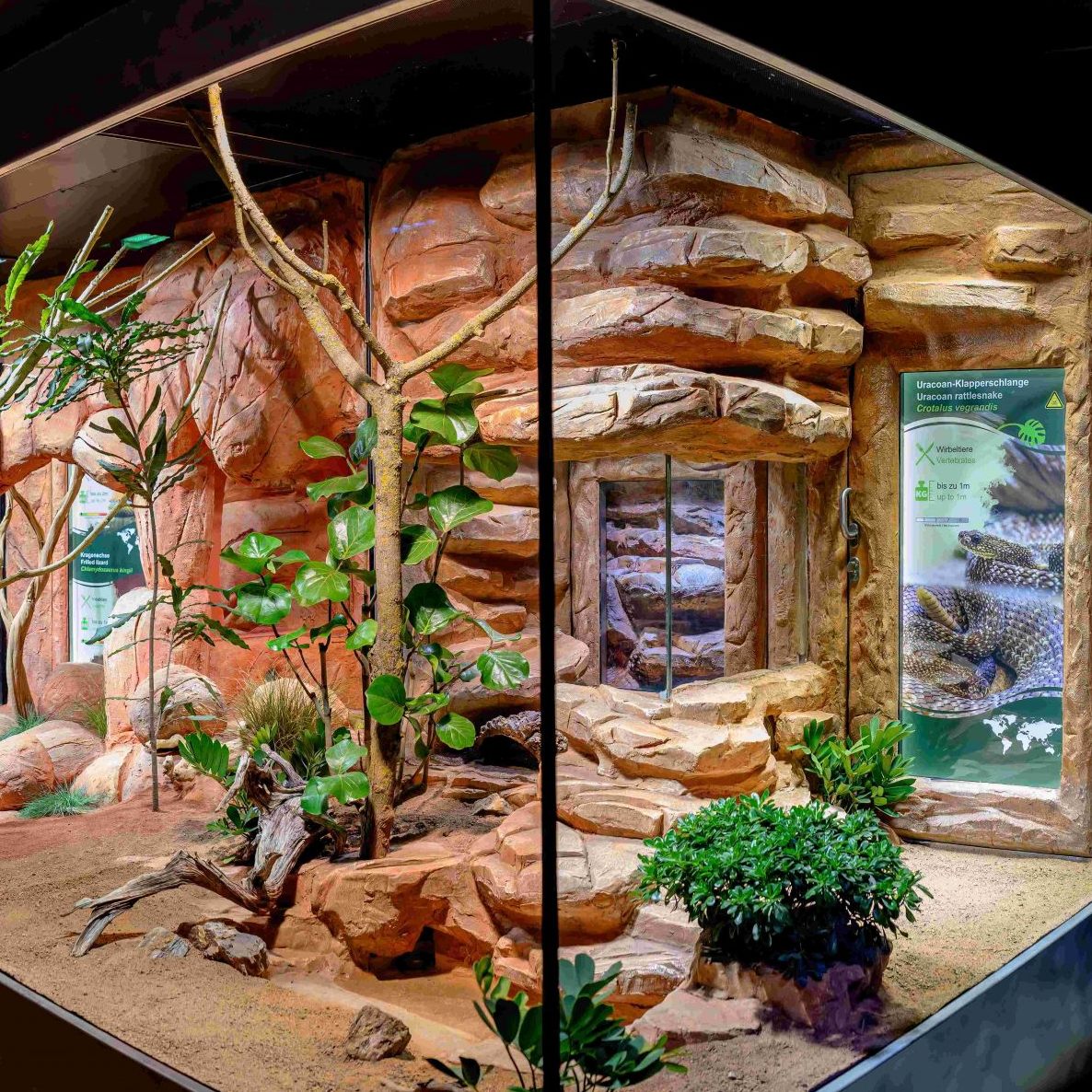 Das Wiener Haus des Meeres erhielt eine hochmoderne Anlage für Giftschlangen.