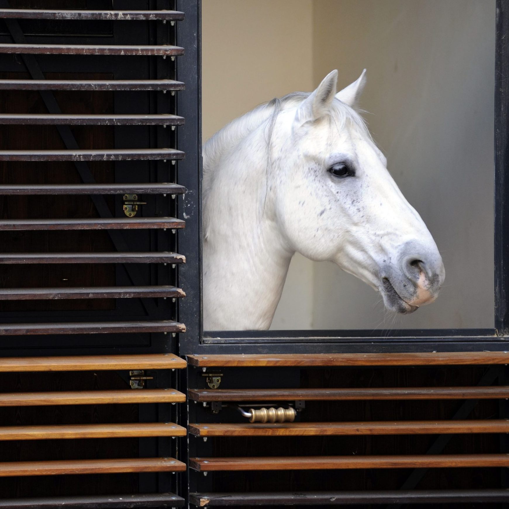Rechnungshof ortet Verbesserungen.