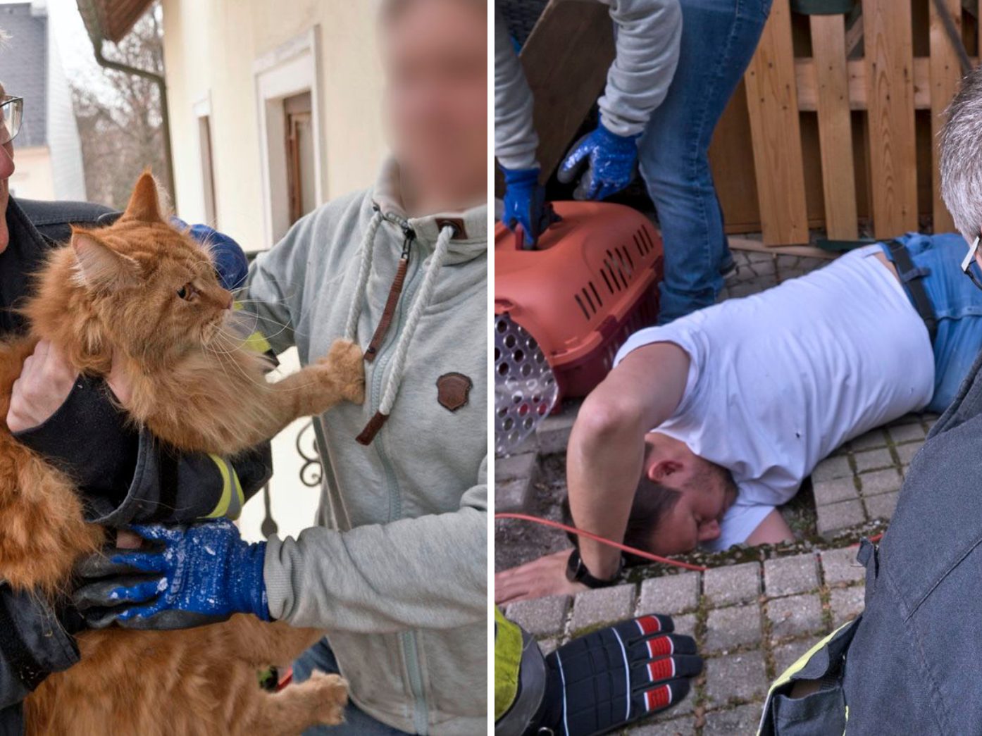 Für den Stubentiger „Odin“ gab es ein Happy End. Für den Stubentiger „Odin“ gab es ein Happy End.