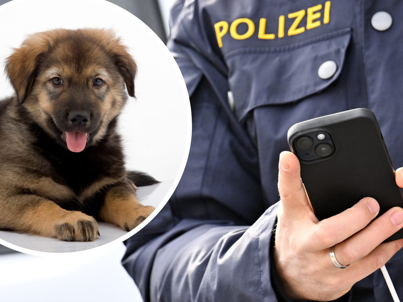 Die Ermittlungen sind im Gange. Die Ermittlungen sind im Gange.