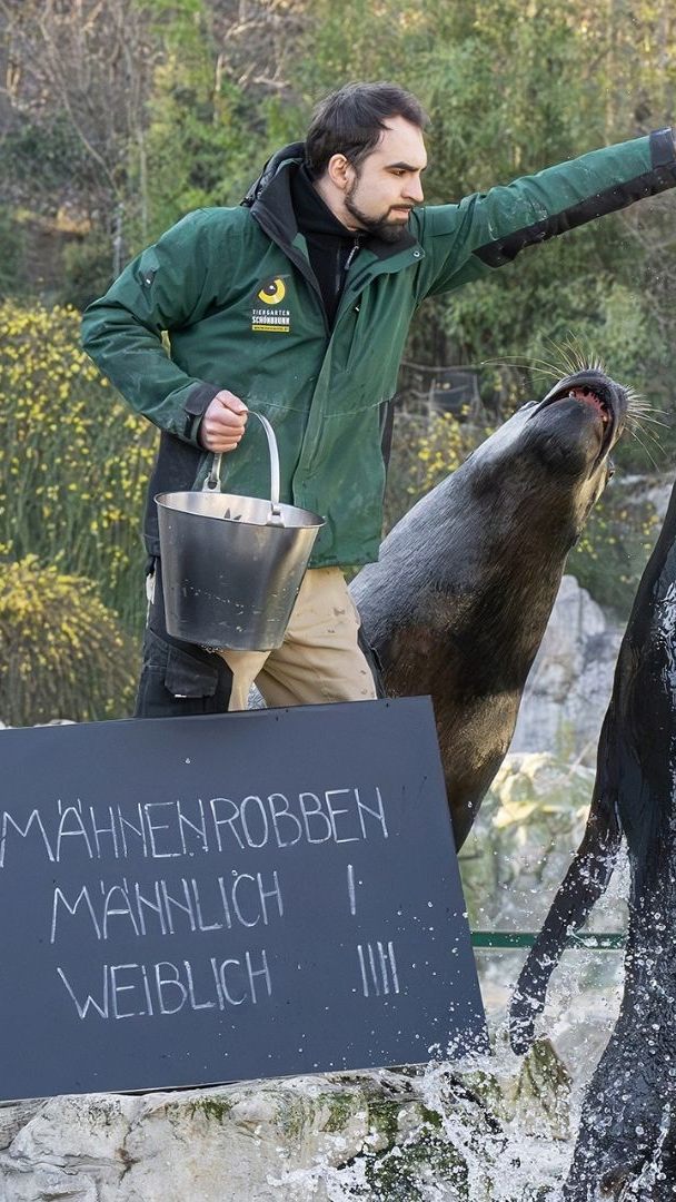 Tiere aus über 518 Arten und Haustierrassen wurden im Tiergarten Schönbrunn erfasst.