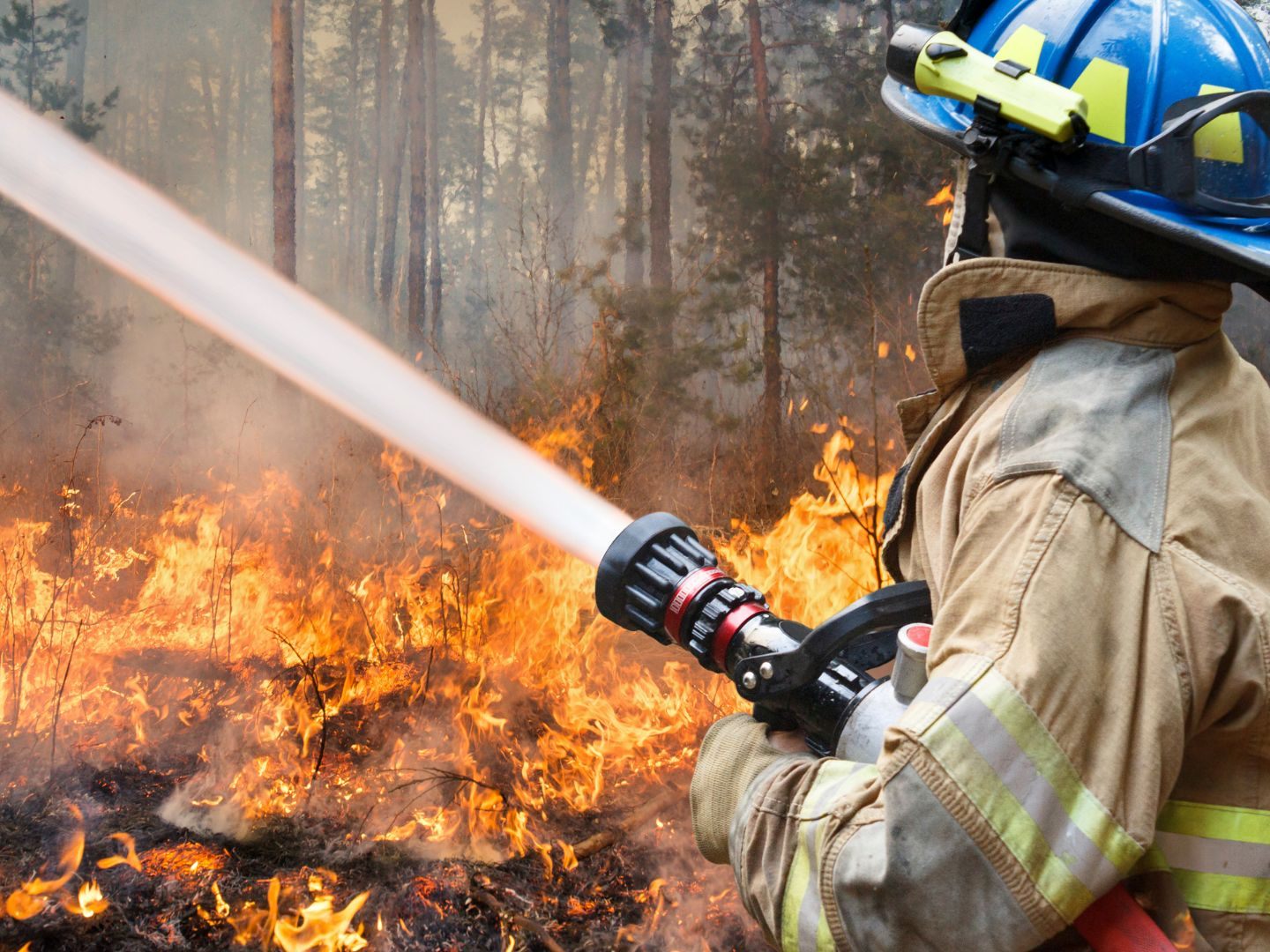 Im Falle eines Waldbrands sollte man sofort die Feuerwehr verständigen und eigene Löschversuche unterlassen. Im Falle eines Waldbrands sollte man sofort die Feuerwehr verständigen und eigene Löschversuche unterlassen.