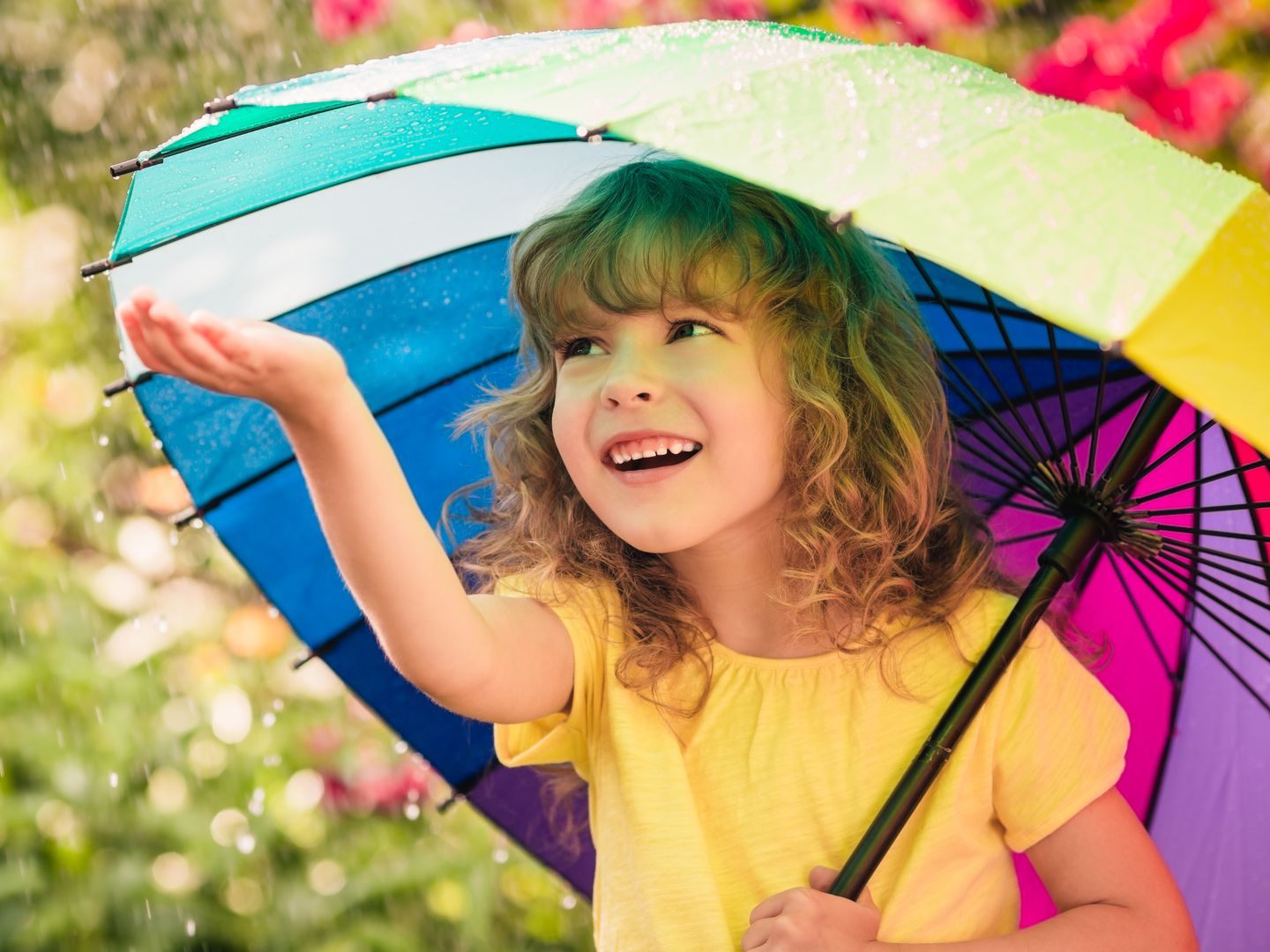 Anfangs noch regnerisch, wird das Wetter ab Mitte der Woche deutlich freundlicher.