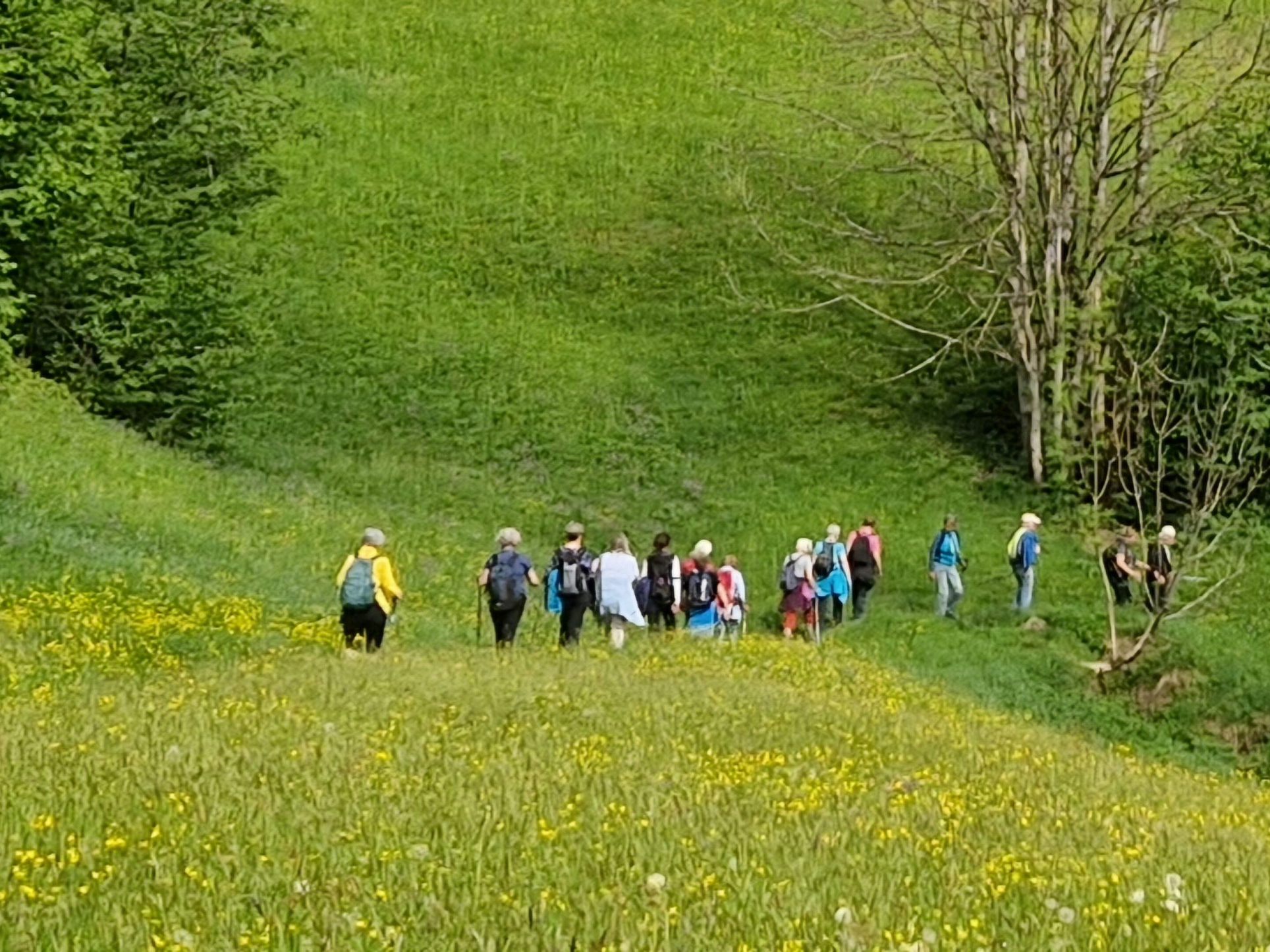 Mit LE.NA die Natur und die Gemeinschaft genießen. Die neuen Termine für die Frühlingswanderungen stehen fest. Mit LE.NA die Natur und die Gemeinschaft genießen. Die neuen Termine für die Frühlingswanderungen stehen fest.