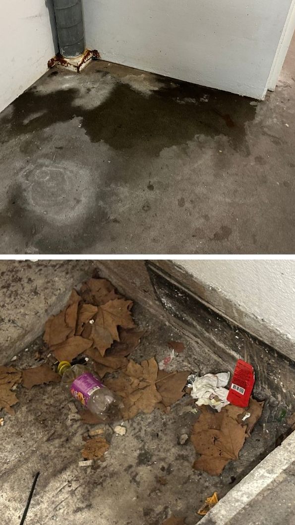 Die Zustände in der Unterführung am Bregenzer Hafen sorgen für Beschwerden.