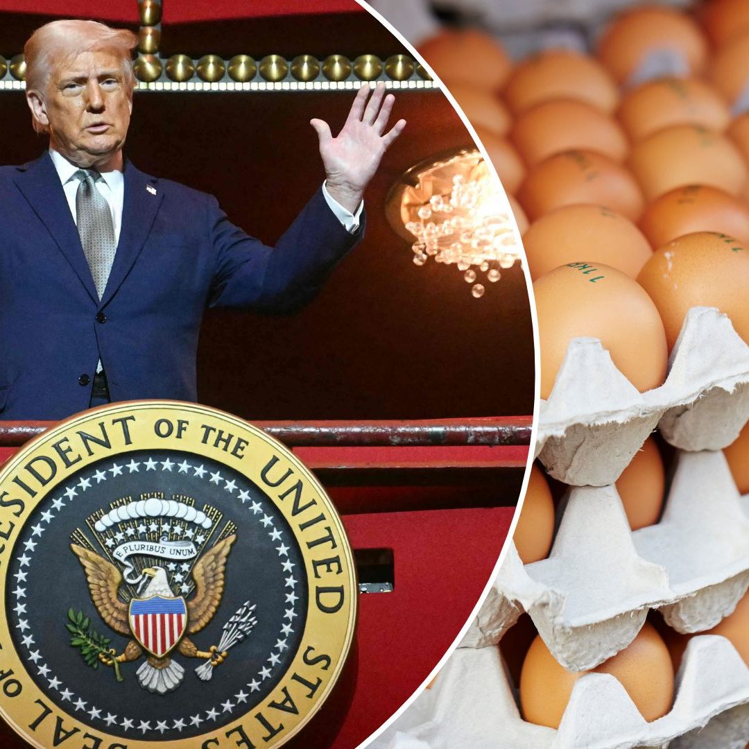 Eierknappheit in den USA: Die Regierung sucht nach neuen Importquellen.