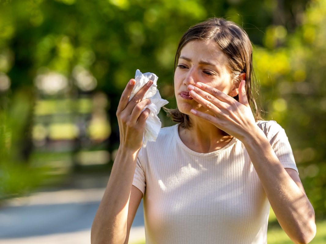 Blühende Bäume sorgen aktuell für eine hohe Pollenbelastung – Allergiker spüren die Auswirkungen deutlich.