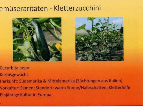 Gemüseraritäten