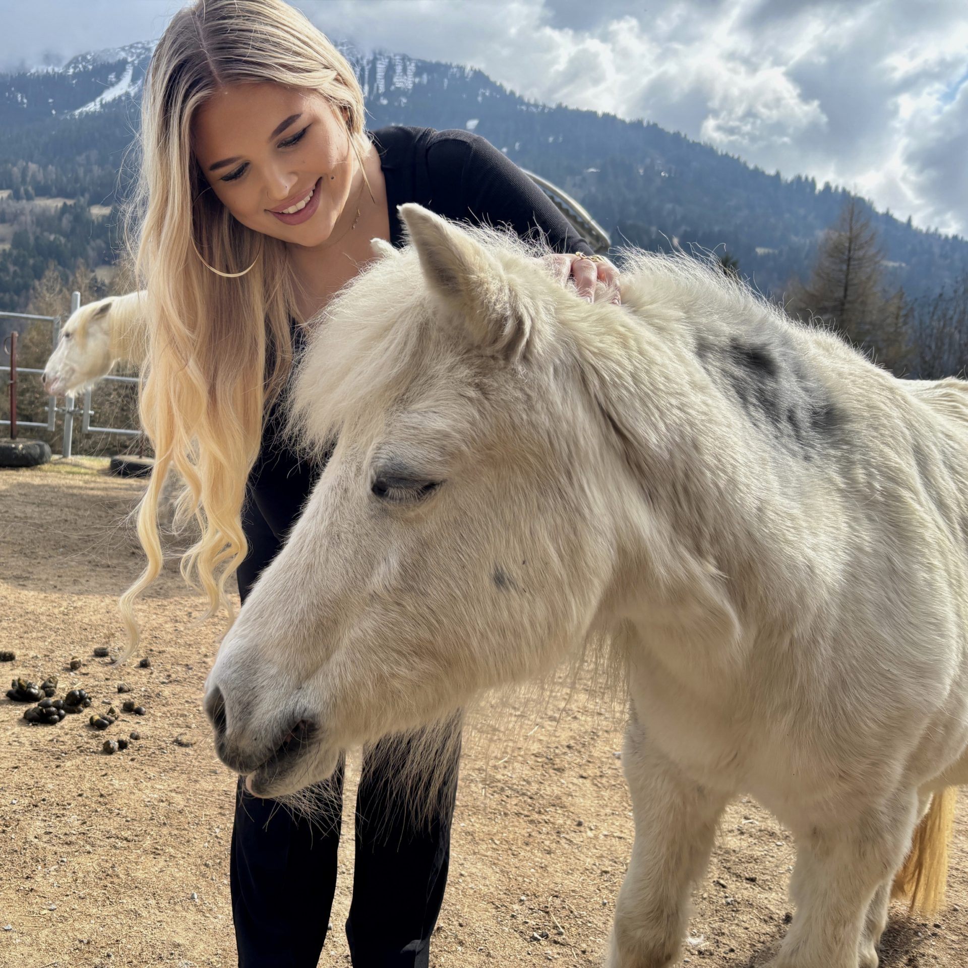 Die Therapie mit Pferden ist eine heilsame Methode zur Aufarbeitung von Kummer.