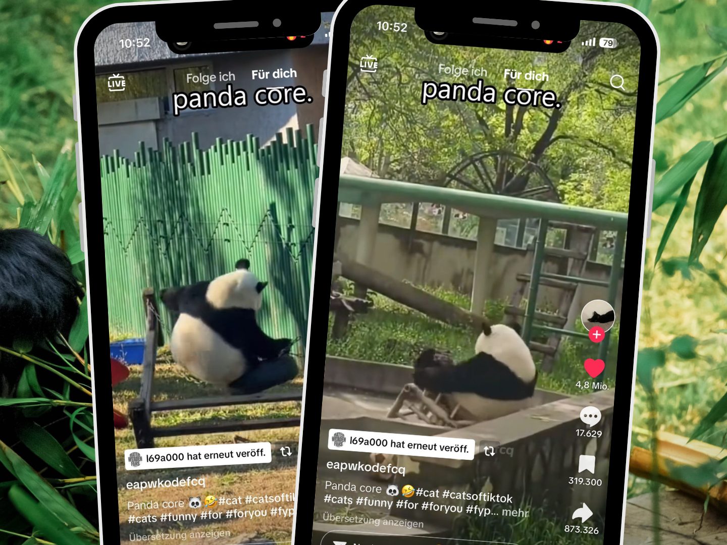 Ein TikTok-Video mit 4,9 Millionen Likes zeigt einen Panda in einer alltäglichen Situation und gibt Einblicke in sein Verhalten. Ein TikTok-Video mit 4,9 Millionen Likes zeigt einen Panda in einer alltäglichen Situation und gibt Einblicke in sein Verhalten.