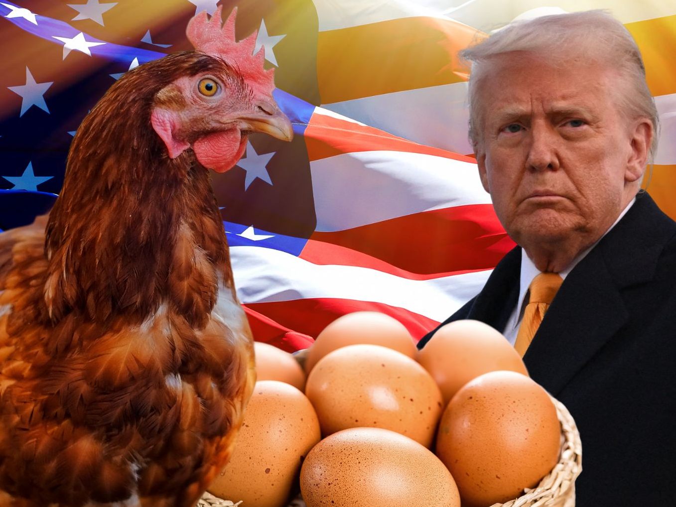 Die USA wollen Eier aus Österreich