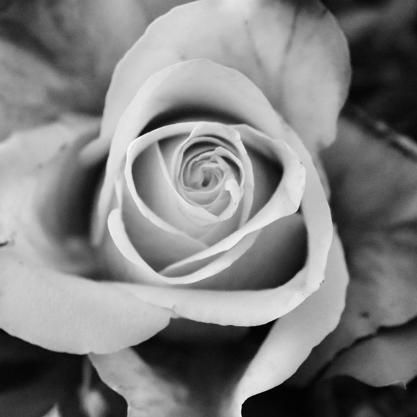 Rosenstolz-Sängerin Anna R. ist gestorben.