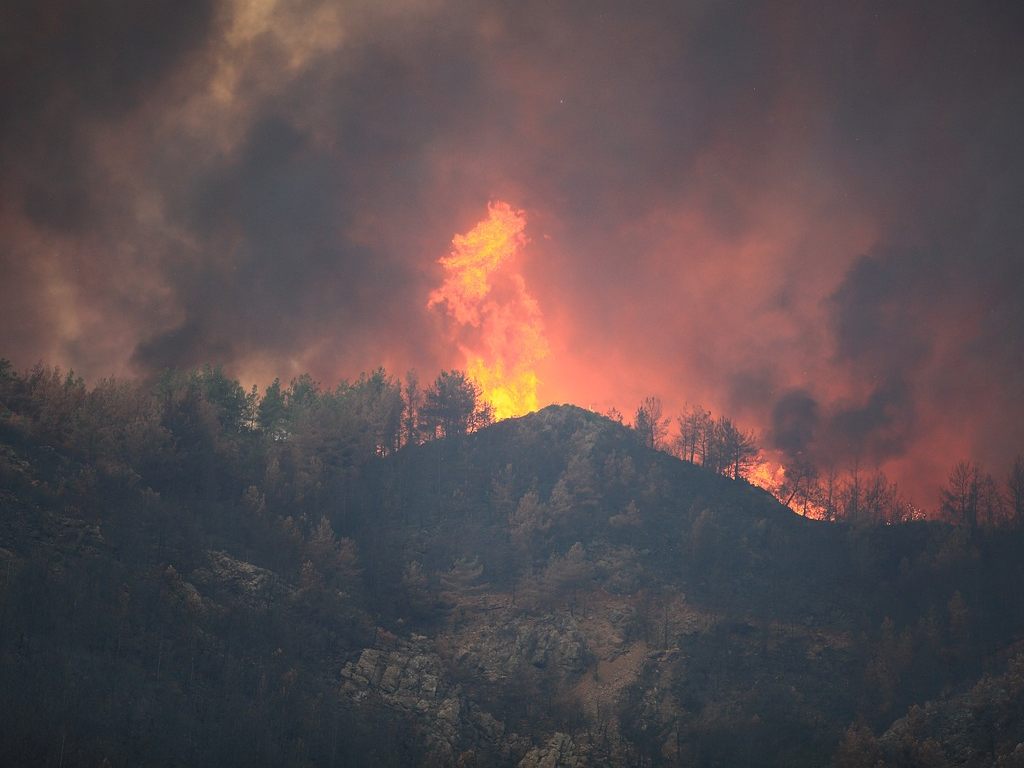 Die Bundesforste warnen vor steigender Waldbrandgefahr durch die Trockenheit.