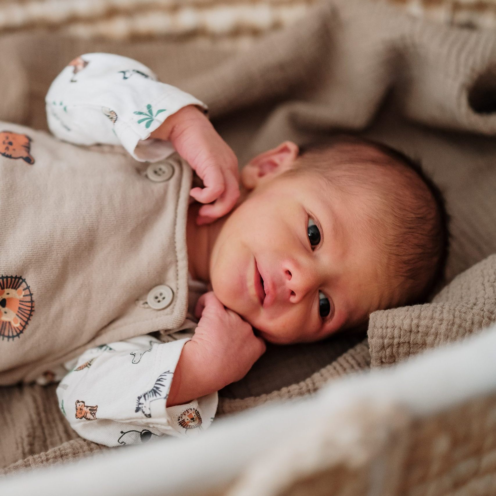 Das Team von VOL.AT gratuliert recht herzlich zur Geburt!