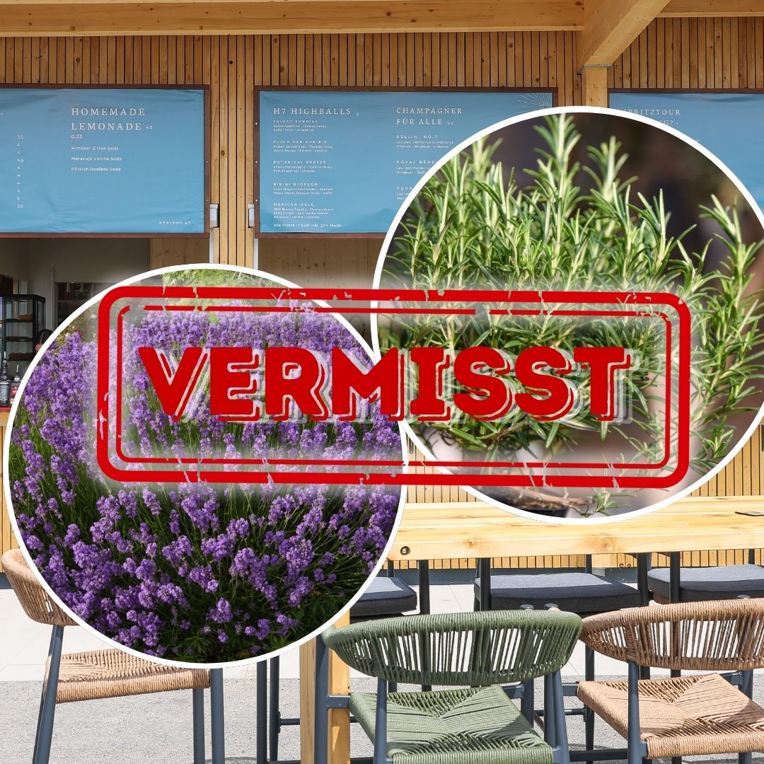 Rosmarin "Olaf" und Lavendel "Valentina" wurden entnommen.